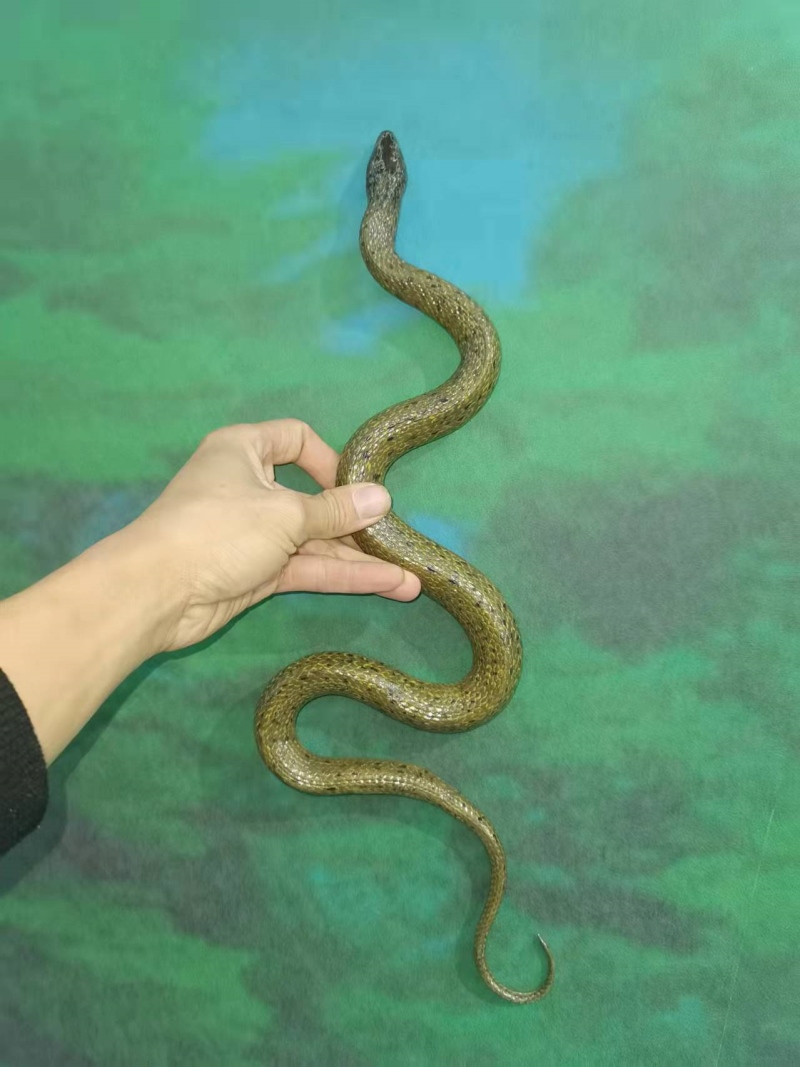 仿真水蛇